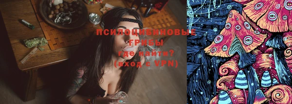 стаф Сосновый Бор