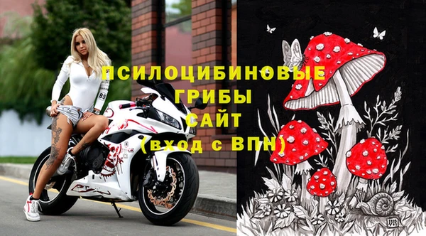 молекула духа Сосновка