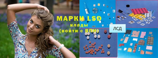 стаф Володарск