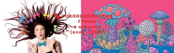 ешки Верхний Тагил